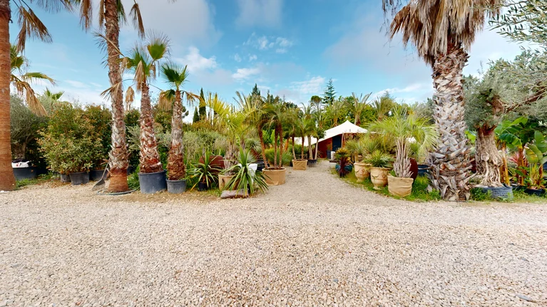 Visualisation 3D - Royal Palm Aix